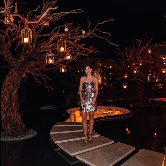 ZARA Silver Sequin Mini Dress (ZW Collection) - Picture 6 of 9